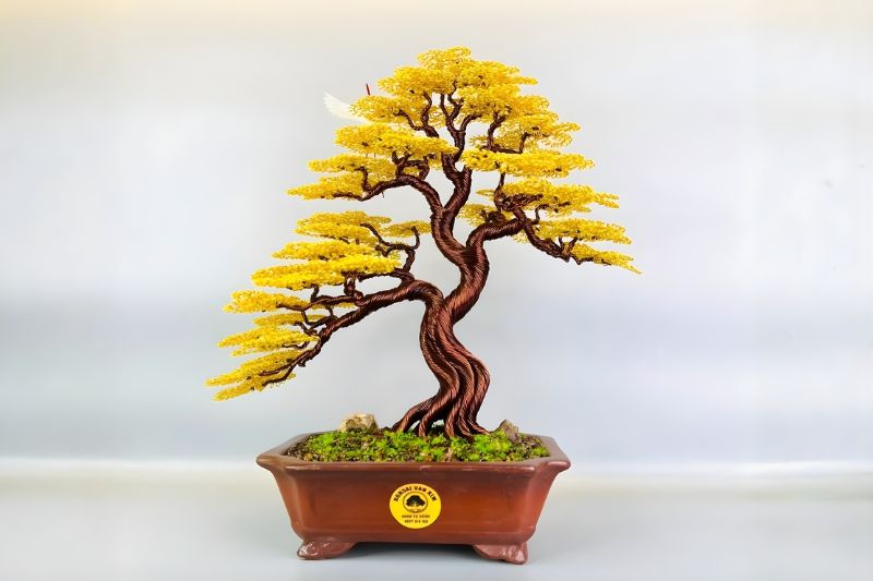 Cây bonsai tài lộc tặng sếp đẹp
