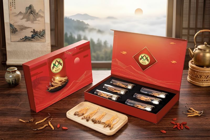 Hộp quà nấm đông trùng hạ thảo là quà tặng trung thu cho đối tác cấp trên sang trọng