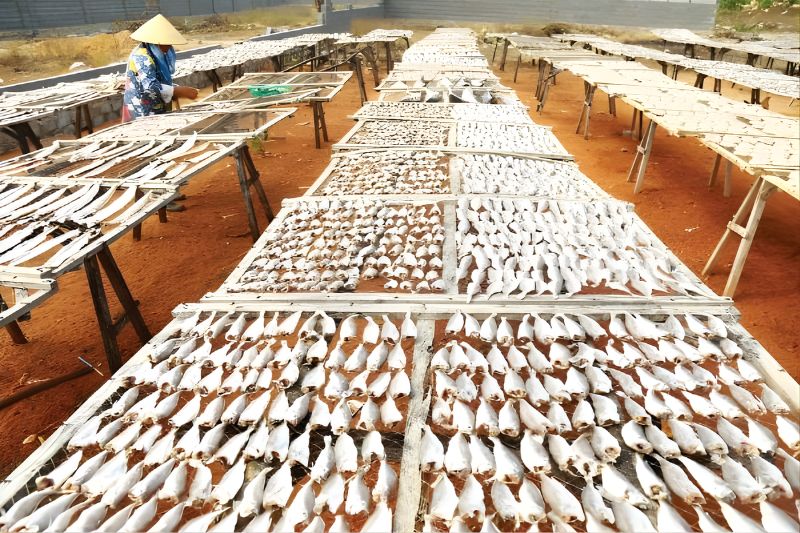 Kiểm tra mùi hương đặt trưng