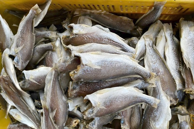 Quan sát lớp thịt cá và da cá 