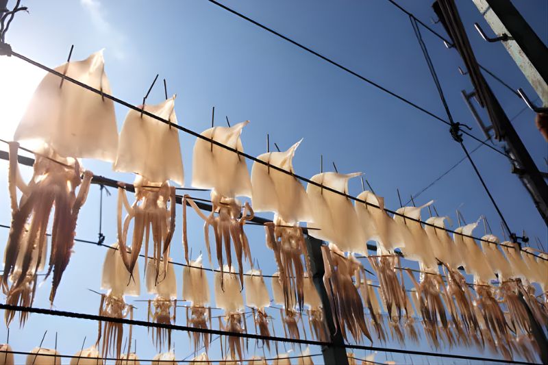 Mực một nắng sau khi rửa bằng nước biển và đem phơi nắng