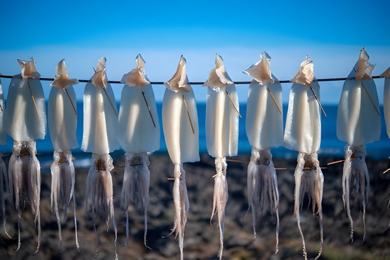 Mực một nắng với hàm lượng chất dinh dưỡng tuyệt vời