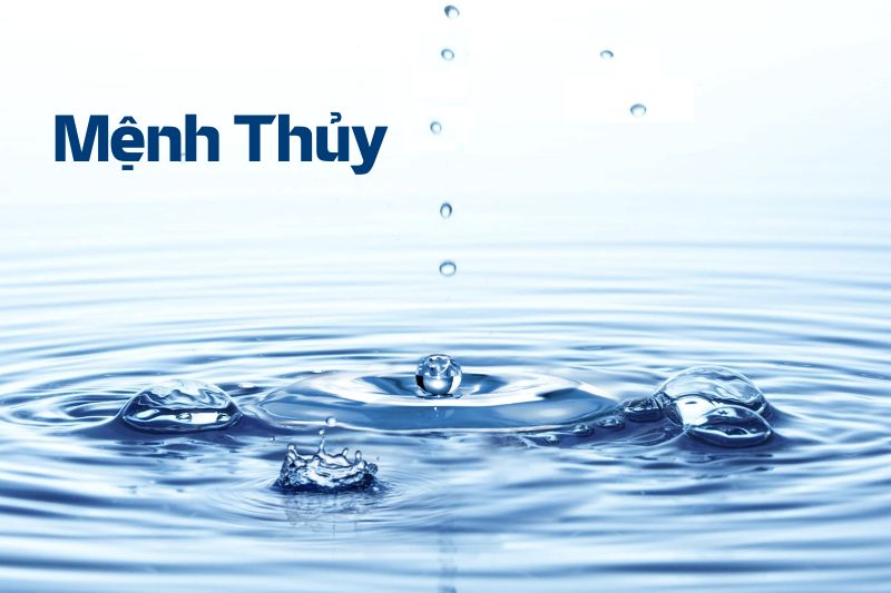 Năm Bính Ngọ 2026 thuộc mệnh gì Hợp màu gì - Tai Thong