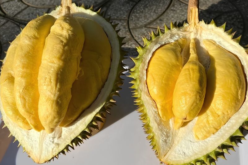 Nguồn gốc của bánh trung thu nhân sầu riêng Musang King