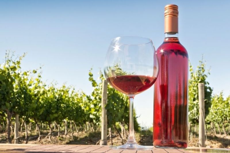 Rượu vang đỏ nhẹ hoặc vang hồng kết hợp với thịt heo nướng BBQ