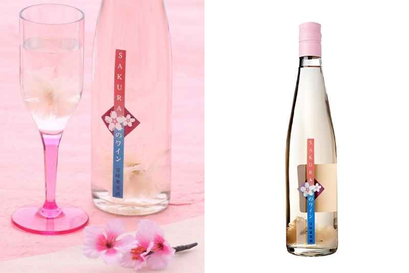 Rượu hoa anh đào Nhật Bản 