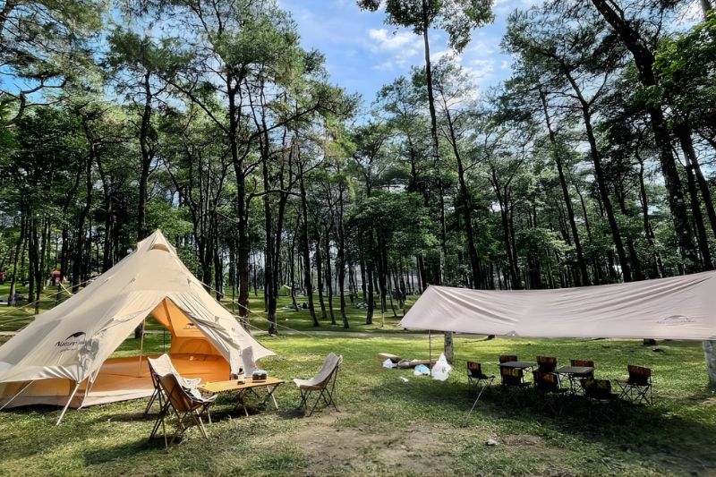 Vườn Quốc gia Ba Vì, Hà Nội - tai thong