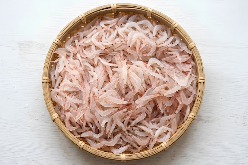 Con ruốc biển là gì