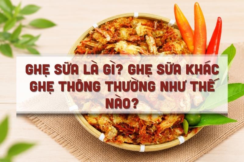 Ghẹ sữa là gì? Ghẹ sữa khác ghẹ thông thường như thế nào?