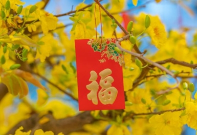 Lì xì may mắn trong năm mới bao nhiêu là tốt nhất?