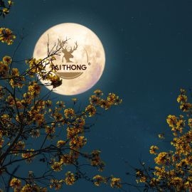 Ý nghĩa của mặt trăng trong tín ngưỡng Phuơng Đông